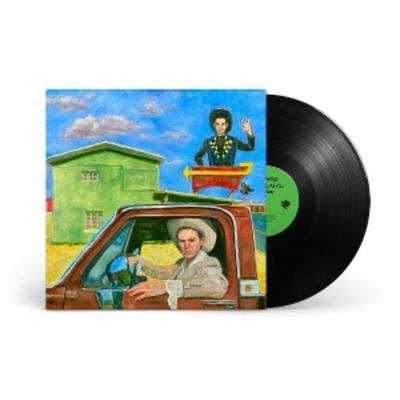 Ill Be Waving As You Drive Away - Hayden Pedigo, Vinyl