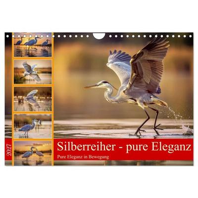 Silberreiher - pure Eleganz (Wandkalender 2027 DIN A4 quer), CALVENDO Monatskalender