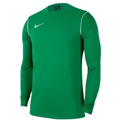 Nike Dri-Fit Park 20 Sweater grün