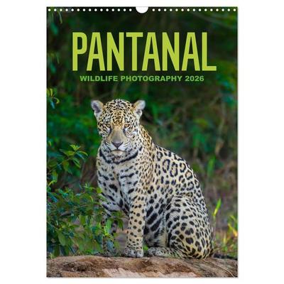 Pantanal Wildlife Photography (Wall Calendar 2026 DIN A3 portrait), CALVENDO 12 Month Wall Calendar