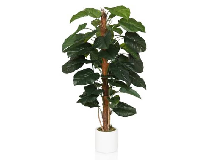 hjh OFFICE Kunstbaum 155cm EPIPREMNUM Künstliche Deko Pflanze im weißen Topf, Kunstfplanze groß, exotische Efeutute für Innen