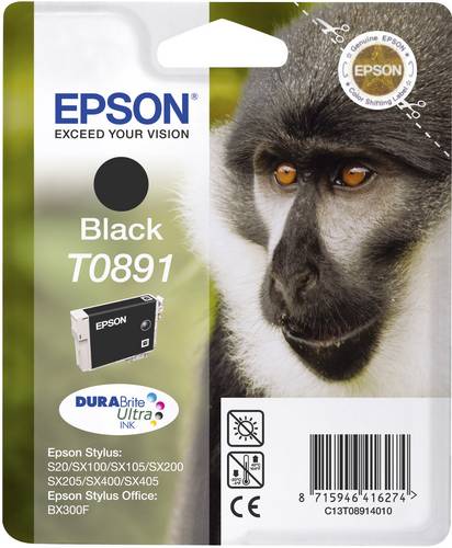 Epson Druckerpatrone T0891 Original Schwarz C13T08914011