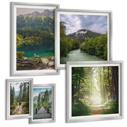 BILDER SET 5er Set - 50x50 cm & 20x30 cm & 40x60 cm Silberner Rahmen - Straße Wald Berge Hirsch Natur