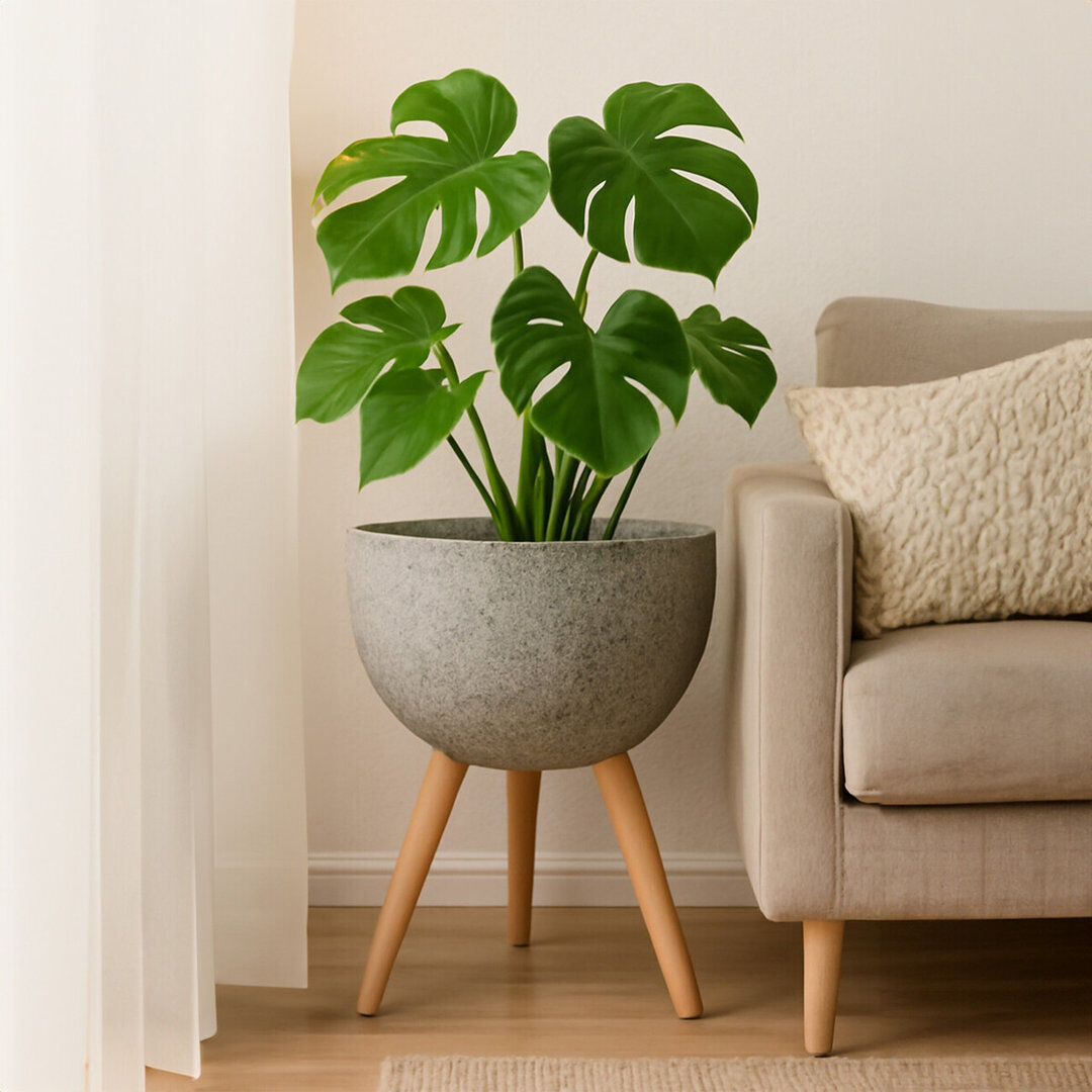 Bloomsbury Market Mondovi Fiberglass Cachepot Grey;Brown 70cm H x 49cm W x 49cm D