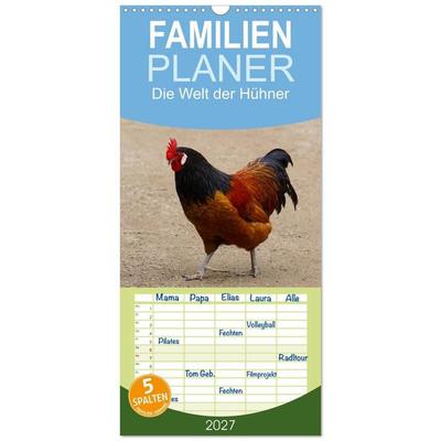 Familienplaner 2027 - Die Welt der Hühner mit 5 Spalten (Wandkalender, 21 x 45 cm) CALVENDO