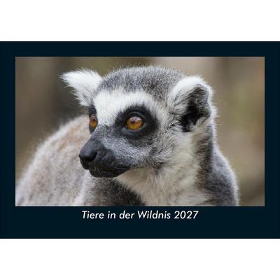 Tiere in der Wildnis 2027 Fotokalender DIN A5