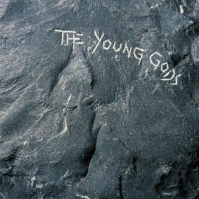 The Young Gods - The Young Gods, Vinyl