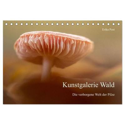 Kunstgalerie Wald - die verborgene Welt der Pilze (Tischkalender 2027 DIN A5 quer), CALVENDO Monatskalender