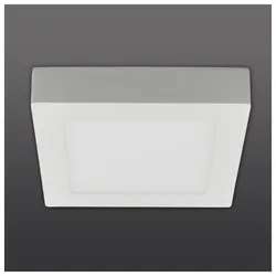 Näve LED Deckenleuchte "SIMPLEX" s:17cm