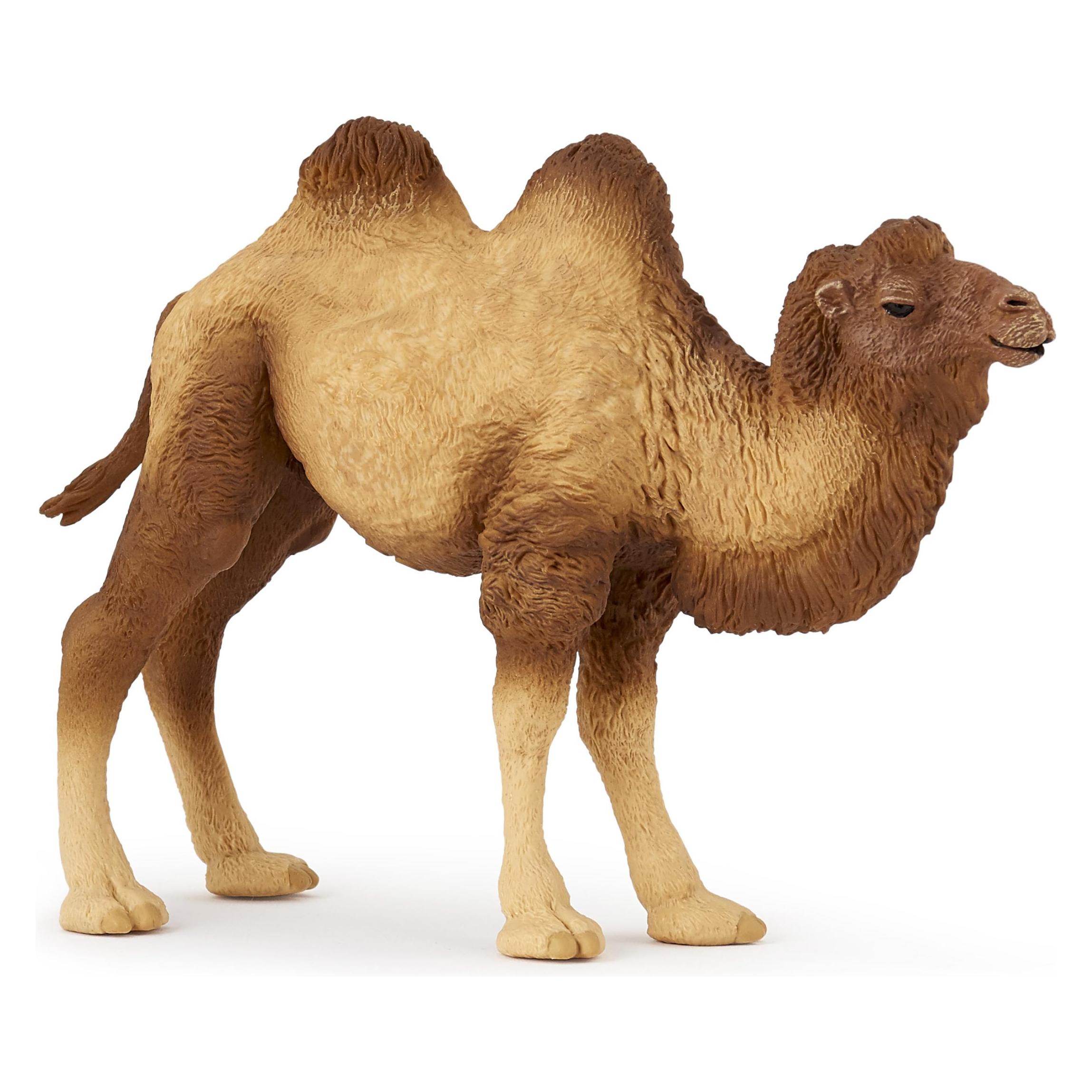 Papo Baktrisches Kamel (50129)
