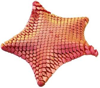 Multisell Products Hub Ocean Themed Movable Joints Starfish Desk Toy Ornament, Kawaii Room Decor Gift brown
