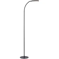 LED Stehleuchte, schwarz, CCT, dimmbar, Innenleuchte, IP20