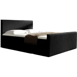 BOXBETT Adrien In Fresh