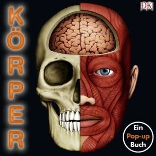 Mit Soundchip - Körper: Ein Pop-up-Buch - Preis vom 09.10.2026 07:28:09 h