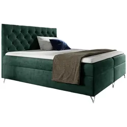 BOXBETT Ambre In Fresh