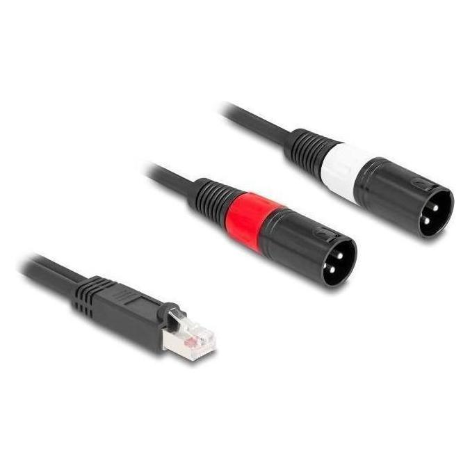 Delock Adapterkabel RJ45 Stecker zu 2 x XLR 3 Pin Stecker schwarz 2 m (88173) (2 m, XLR Kabel) (88173)