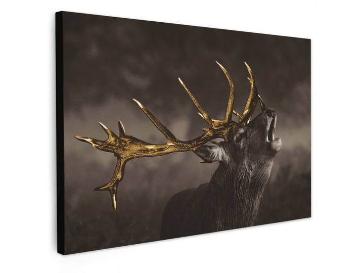 LEINWANDBILD Rotwild - Schwarz - Gold Wohnzimmer Groß 120x80 cm