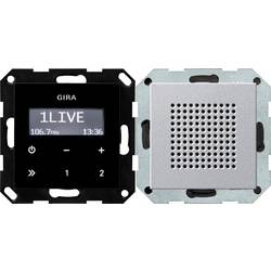 GIRA Unterputz-Radio Aluminium 228026 1 St.