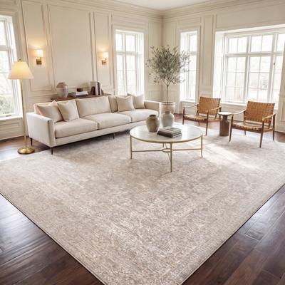SAFAVIEH Reflection Nedelja Charming Oriental Rug