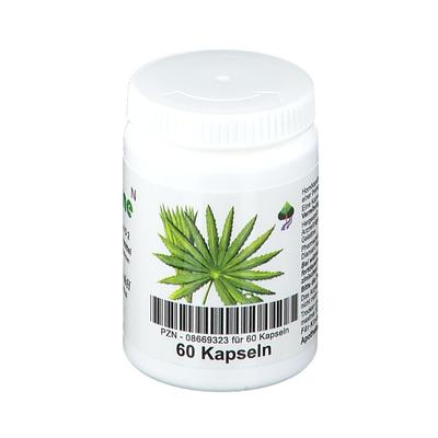 Sägepalme Bioxera Kapseln 60 St
