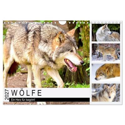Wölfe. Ein Herz für Isegrim! (Wandkalender 2027 DIN A4 quer), CALVENDO Monatskalender