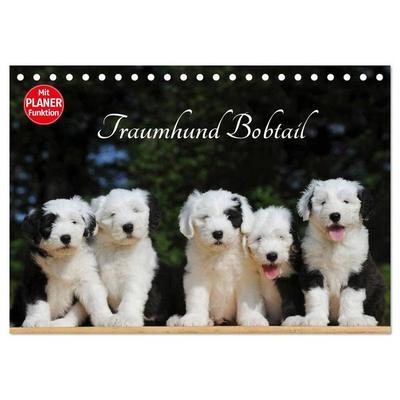 Traumhund Bobtail (Tischkalender 2027 DIN A5 quer), CALVENDO Monatskalender