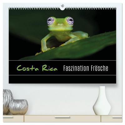 Costa Rica - Faszination Frösche (hochwertiger Premium Wandkalender 2027 DIN A2 quer), Kunstdruck in Hochglanz