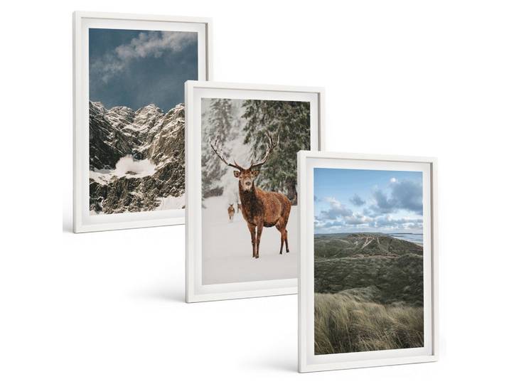 BILDER SET 3er Set - 40x60 cm Weißer Rahmen - Berge, Schnee, Hirsche, Waldlandschaft