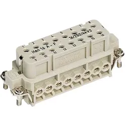 Hart Buchseneinsatz 16polig 09200162812, Elektronikkabel + Stecker, Silber