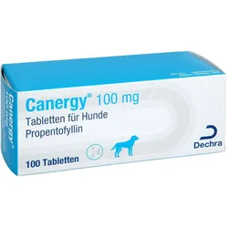 CANERGY 100 mg Tabletten für Hunde