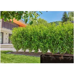 Gardena, Micro-Drip-System Set Hecke/Sträucher 25m (Tropfbewässerung Set)