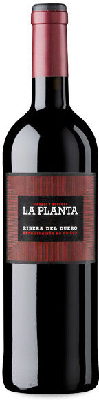 Arzuaga Navarro La Planta Magnum 2024 -