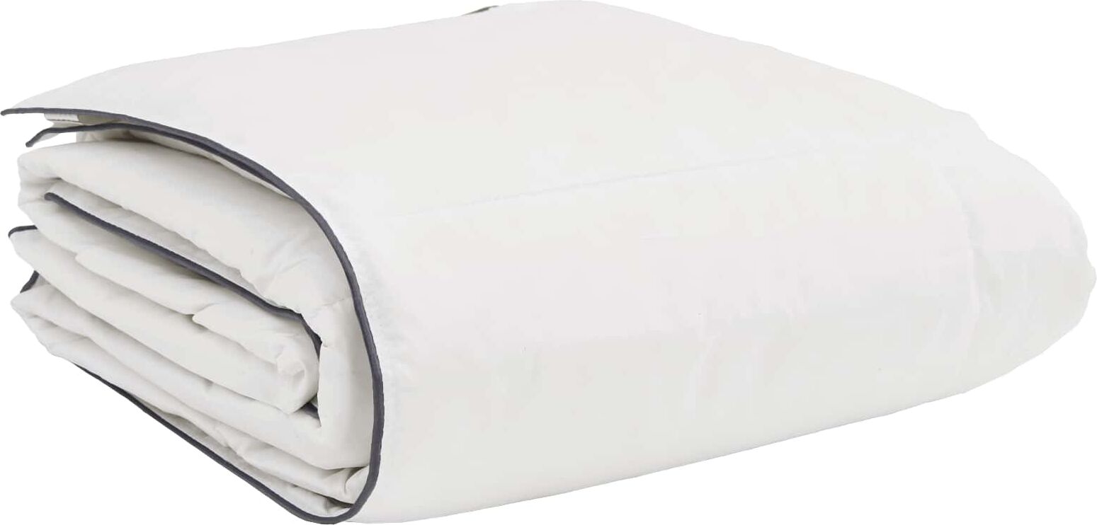 vidaXL Duvet d'hiver avec oreiller 2 pièces Blanc Plume de canard