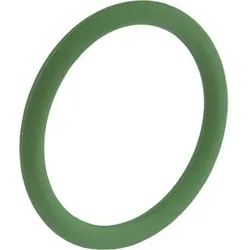 KAISER 2111.98.08 O-Ring FPM 17.0 x 2.0 21119808