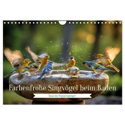 Farbenfrohe Singvögel beim Baden (Wandkalender 2027 DIN A4 quer), CALVENDO Monatskalender
