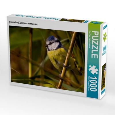 CALVENDO Puzzle Blaumeise (Cyanistes caeruleus) | 1000 Teile Lege-Größe 64x48cm Foto-Puzzle für glückliche Stunden