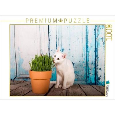 CALVENDO Puzzle Khao Manee frisst Katzengras | 1000 Teile Lege-Größe 64x48cm Foto-Puzzle für glückliche Stunden, Sonstige von , Calvendo Puzzle