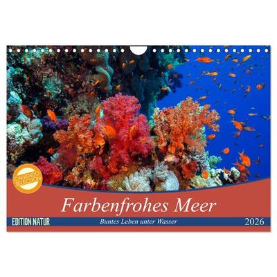 Farbenfrohes Meer (Wandkalender 2026 DIN A4 quer), CALVENDO Monatskalender