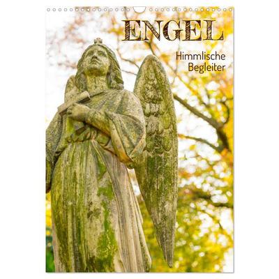 Engel - Himmlische Begleiter (Wandkalender 2026 DIN A3 hoch), CALVENDO Monatskalender