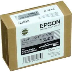 Epson Tinte C13T580900 light light black T5809