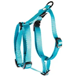 Martin Sellier XS (XS, Hund, Spazieren), Halsband + Leine