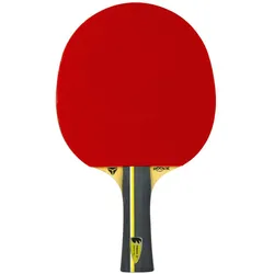 Tibhar, Tischtennisschläger