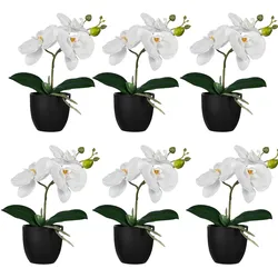 CREATIV green künstliche Pflanze Orchidee, 23cm, pink, im 6er Set