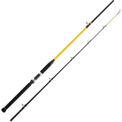 WFT Never Crack Catfish Boat LTC 2,10m 250-1000g Angelrute