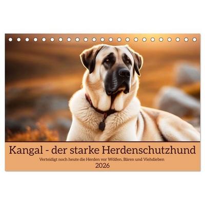 Kangal - der starke Herdenschutzhund (Tischkalender 2026 DIN A5 quer), CALVENDO Monatskalender