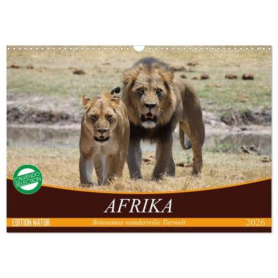 Afrika. Botswanas wundervolle Tierwelt (Wandkalender 2026 DIN A3 quer), CALVENDO Monatskalender