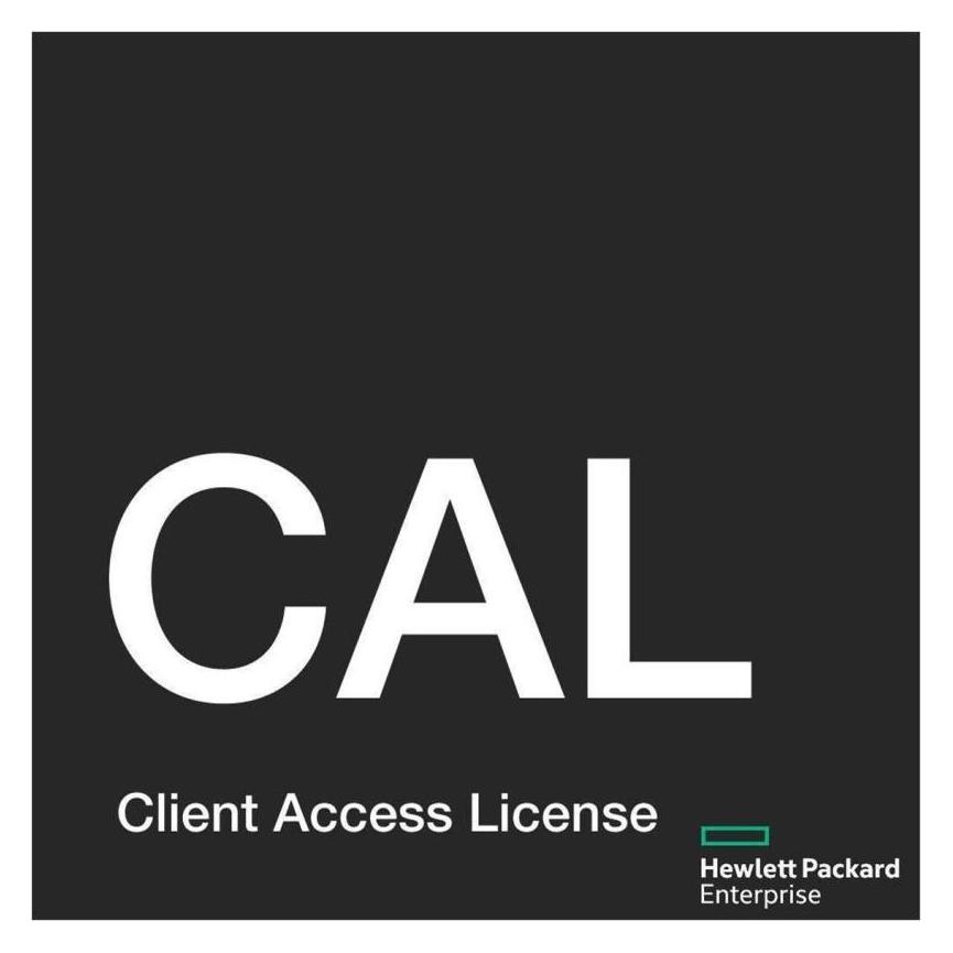 HPE MS WS22 50Usr CAL WW LTU (50 User, unbegrenzt) (P46219-B21)