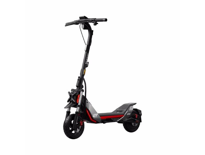 Ninebot by Segway ZT3 PRO D E-Scooter – E Scooter – schwarz