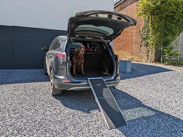 ROONY 6279 Autohundedecke