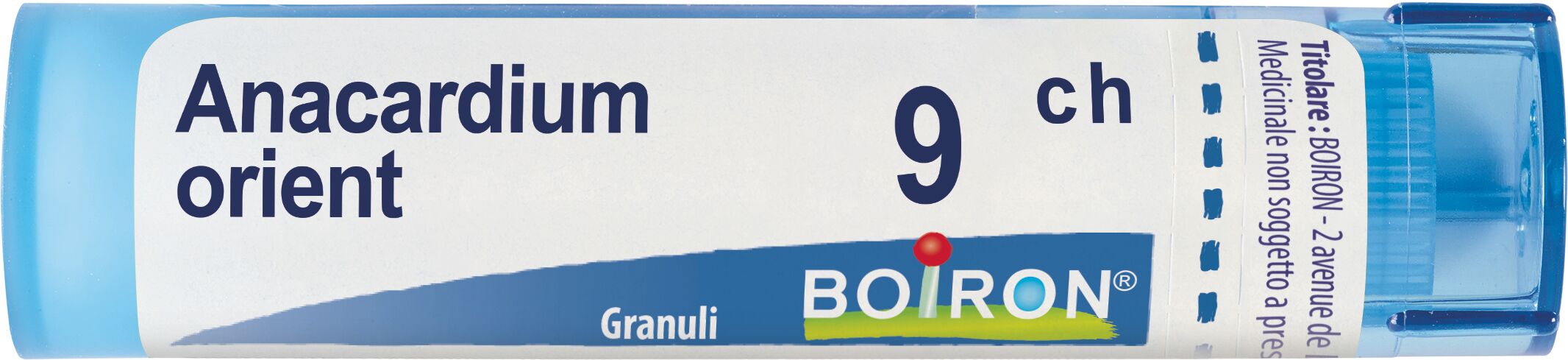 Anacardium Orientale 9ch Granuli Multidose Boiron